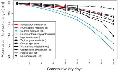 Tree Circumference Changes and Species-Specific Growth Recovery After Extreme Dry Events in a Montane Rainforest in Southern Ecuador